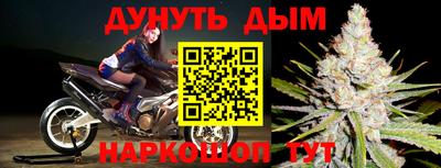 дживик Нальчик